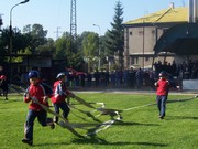M011.jpg