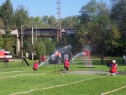 M031.jpg