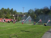 M035.jpg