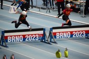 a172.jpg