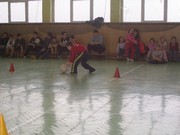 f435.jpg