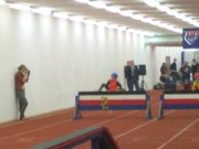 a020.jpg