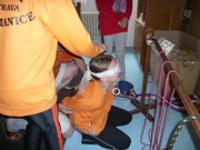 a052.jpg
