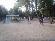 a1236.jpg
