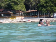 a1268.jpg