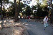 a590.jpg