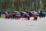 a173.jpg