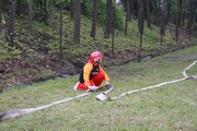 a070.jpg