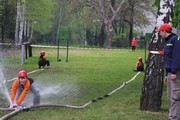 a072.jpg
