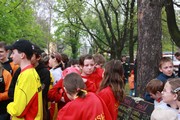 a080.jpg