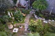 a1114.jpg