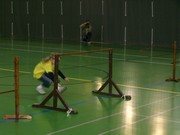 a051.jpg