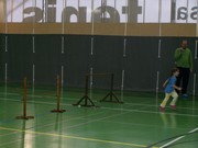 a053.jpg