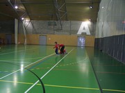 a081.jpg