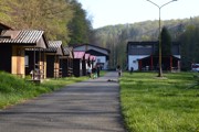 a313.jpg