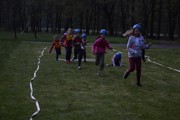 a419.jpg