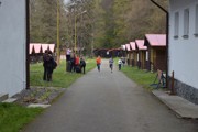 a449.jpg