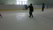 a010.jpg