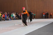 a074.jpg