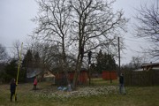 a040.jpg