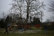 a041.jpg