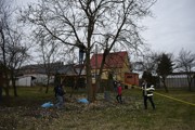 a058.jpg