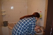 a090.jpg