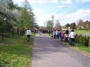 S011.jpg
