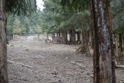 a049.jpg