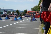 a055.jpg
