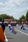 a081.jpg