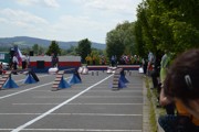 a129.jpg