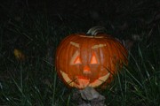a060.jpg