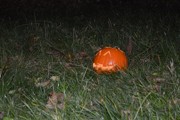 a064.jpg