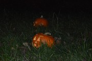 a065.jpg